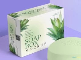 Free Elegant Packaging Box & Soap Mockup