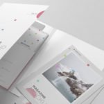 Free Exclusive Folder Mockup