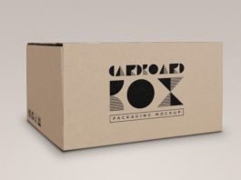 Photorealistic 3d single Cardboard Box Packaging Mockup