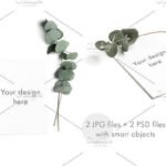 Elegant Minimal greeting card mockup set with flower