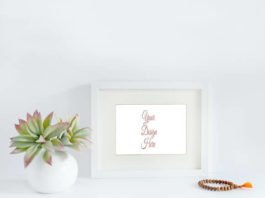 Elegant Succulent and White Frame Mockup