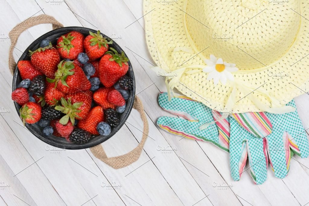 Bucket Hat With Cherry And Strawberry Beside