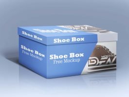 Free Realistic Shoe Box Mockup