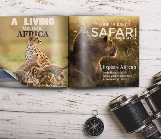 Premium Square Booklet Mockup PSD Template