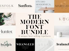 Unique Modern Font Bundle Pack