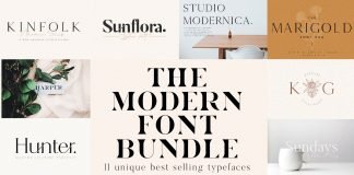 Unique Modern Font Bundle Pack