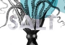 Free Salt Minimal Sans Serif Font