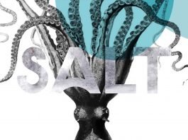 Free Salt Minimal Sans Serif Font