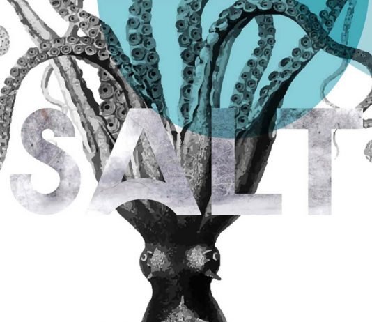 Free Salt Minimal Sans Serif Font