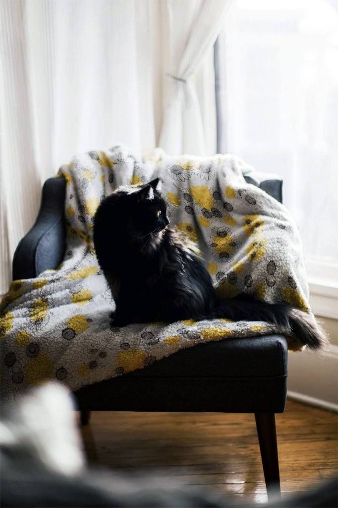 Free Throw Blanket On a Chair Mockup