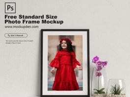 Free Standard Size Photo Frame Mockup PSD Template