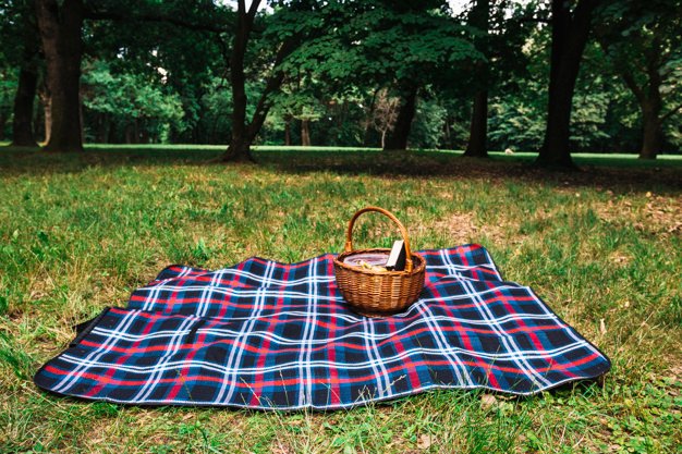 A Picnic Basket Placed On Checked Blanket PSD.