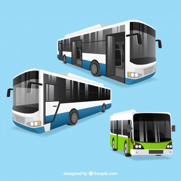 Different Bus Vector Design Illustration