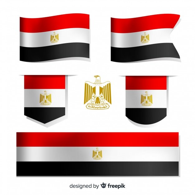 Elegant Egypt Flag Vector.