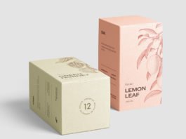 Free Box Mockup Set PSD Template