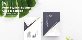 Free Stylish Business Card Mockup PSD Template