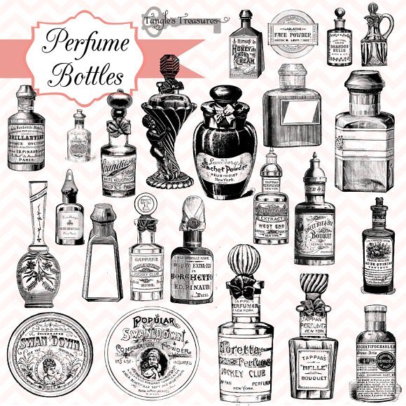 Vintage Perfume Bottle Design Vector: