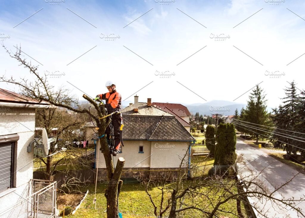 Lumberjack Wearing White Helmet And Pruning A Tree