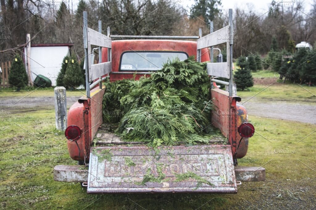Pine Branches On A Truck Mockup.