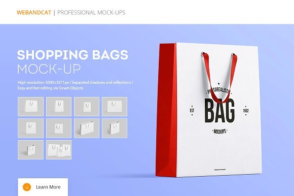 Professionally Designed Attractive Shopping Bag