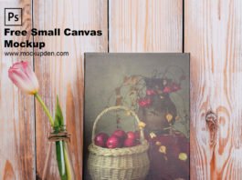 Free Small Canvas Mockup PSD Template