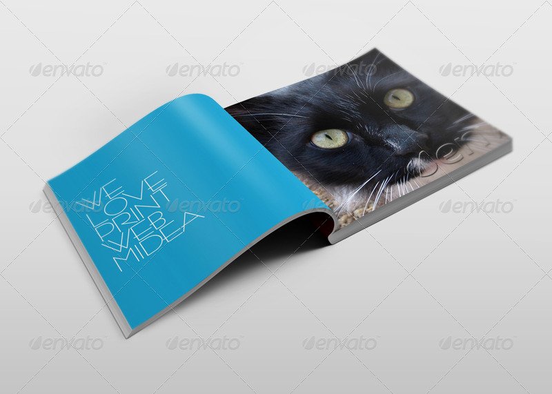 Thick Square Book Brochures Mock-ups