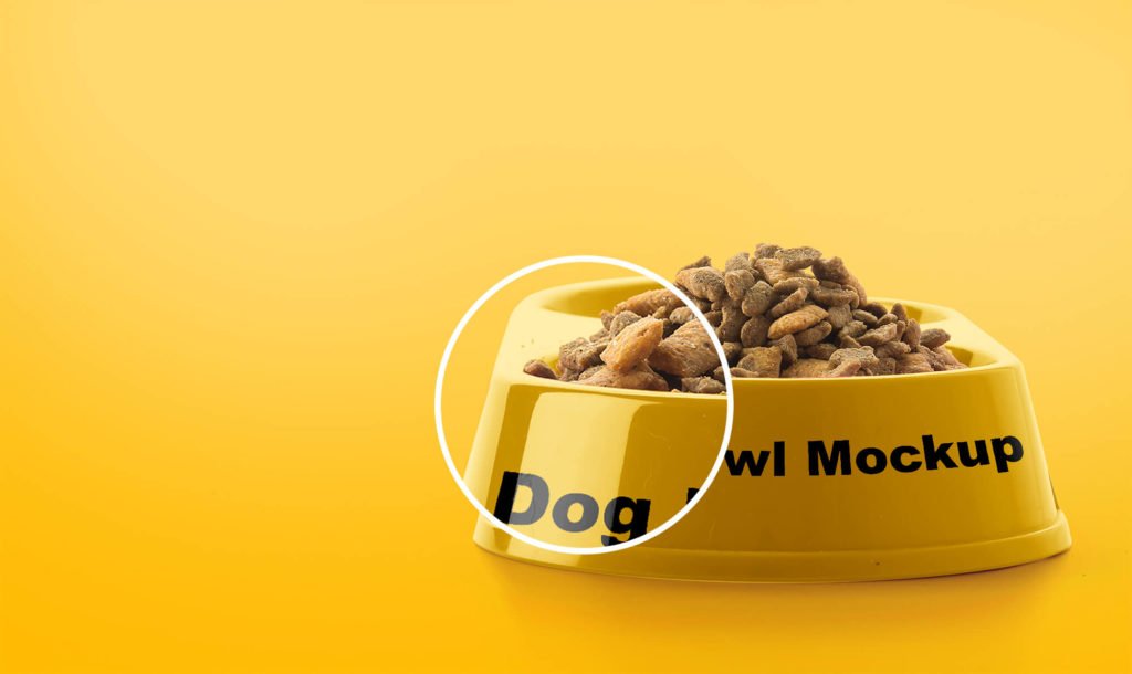 Download Free Dog Bowl Mockup PSD Template - Mockup Den