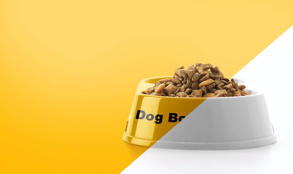 Download Free Dog Bowl Mockup Psd Template Mockup Den