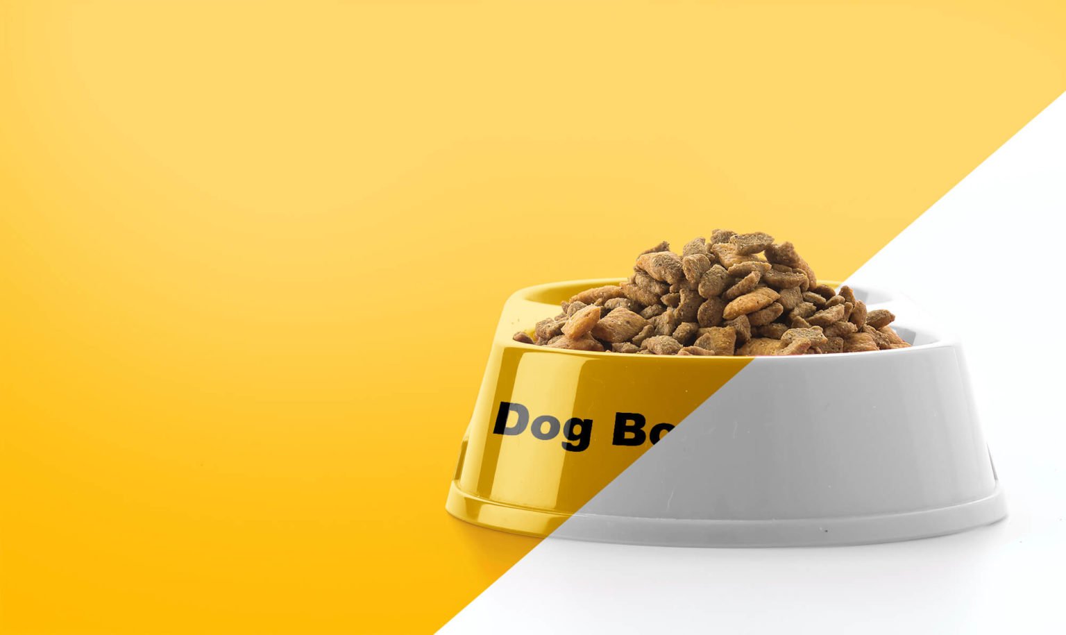 Free Dog Bowl Mockup PSD Template - Mockup Den