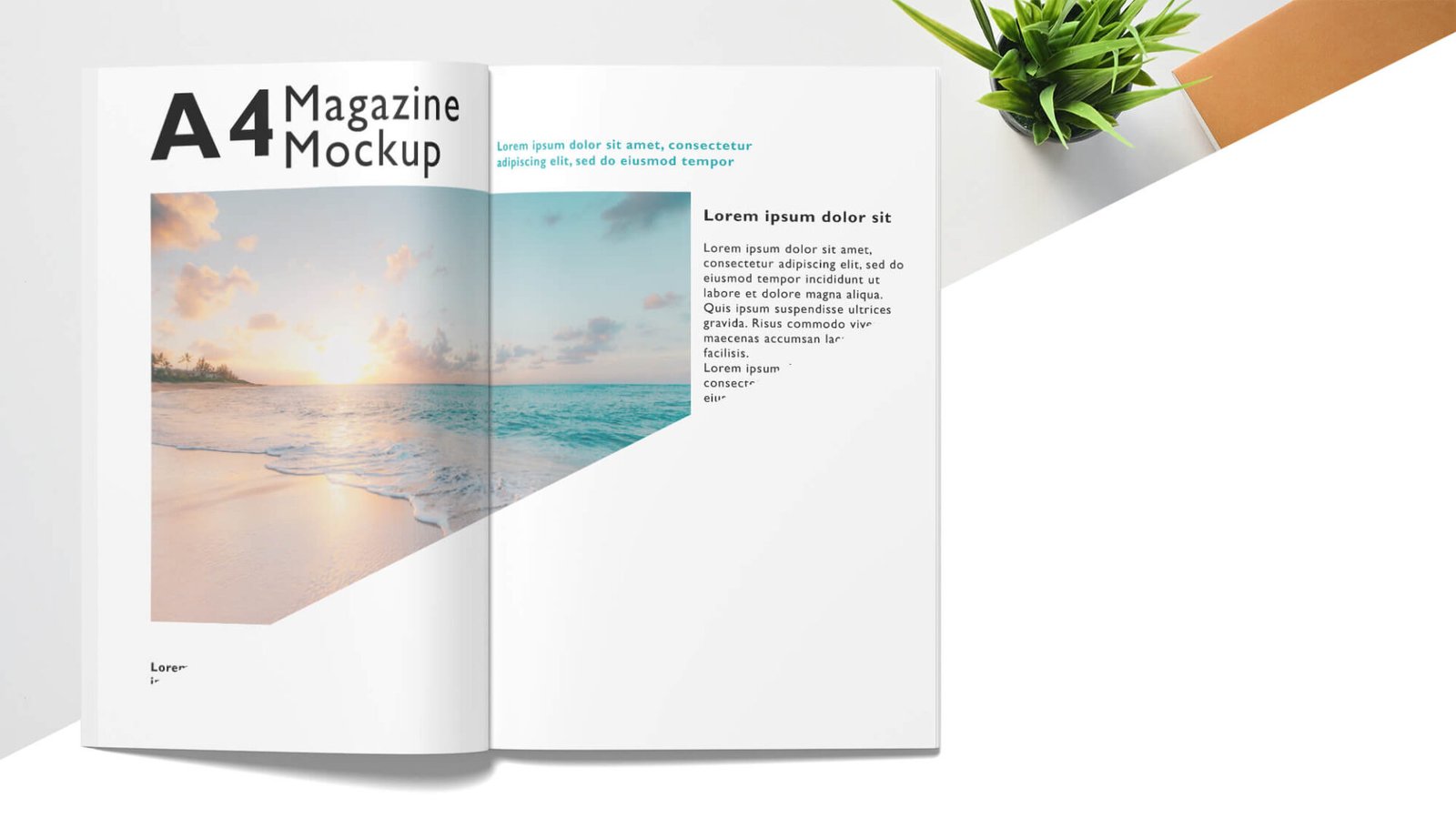 Free A4 Magazine Mockup PSD Tem