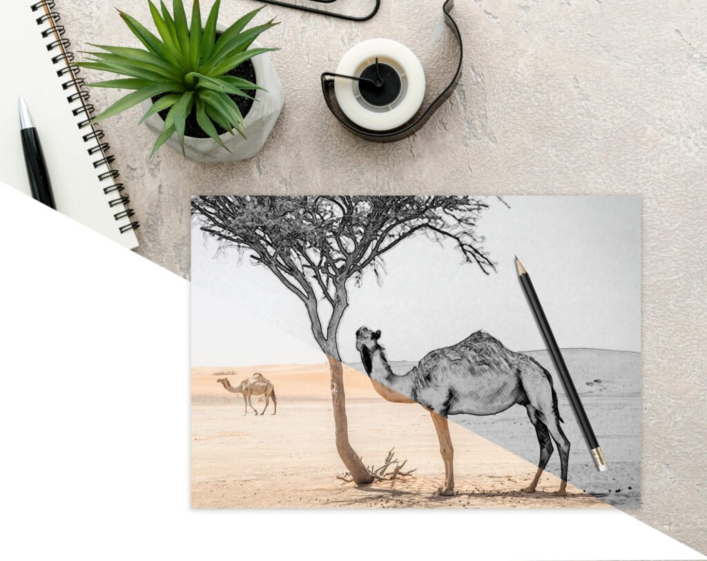 Editable Free Drawing Book Mockup PSD Template