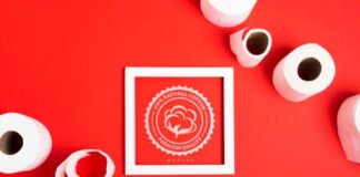 Frame with toilet paper rolls Free Psd