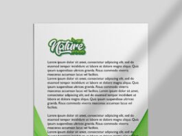 Free Document Mockup PSD Template