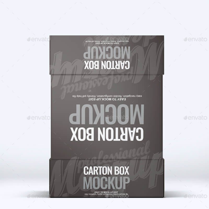 Carton Box Mock-Up (1)