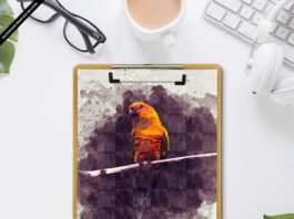 Free Drawing Mockup PSD Template