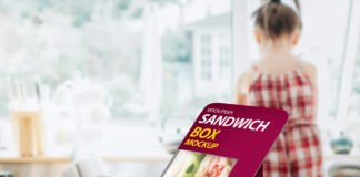 Free Sandwich Box Mockup PSD Template