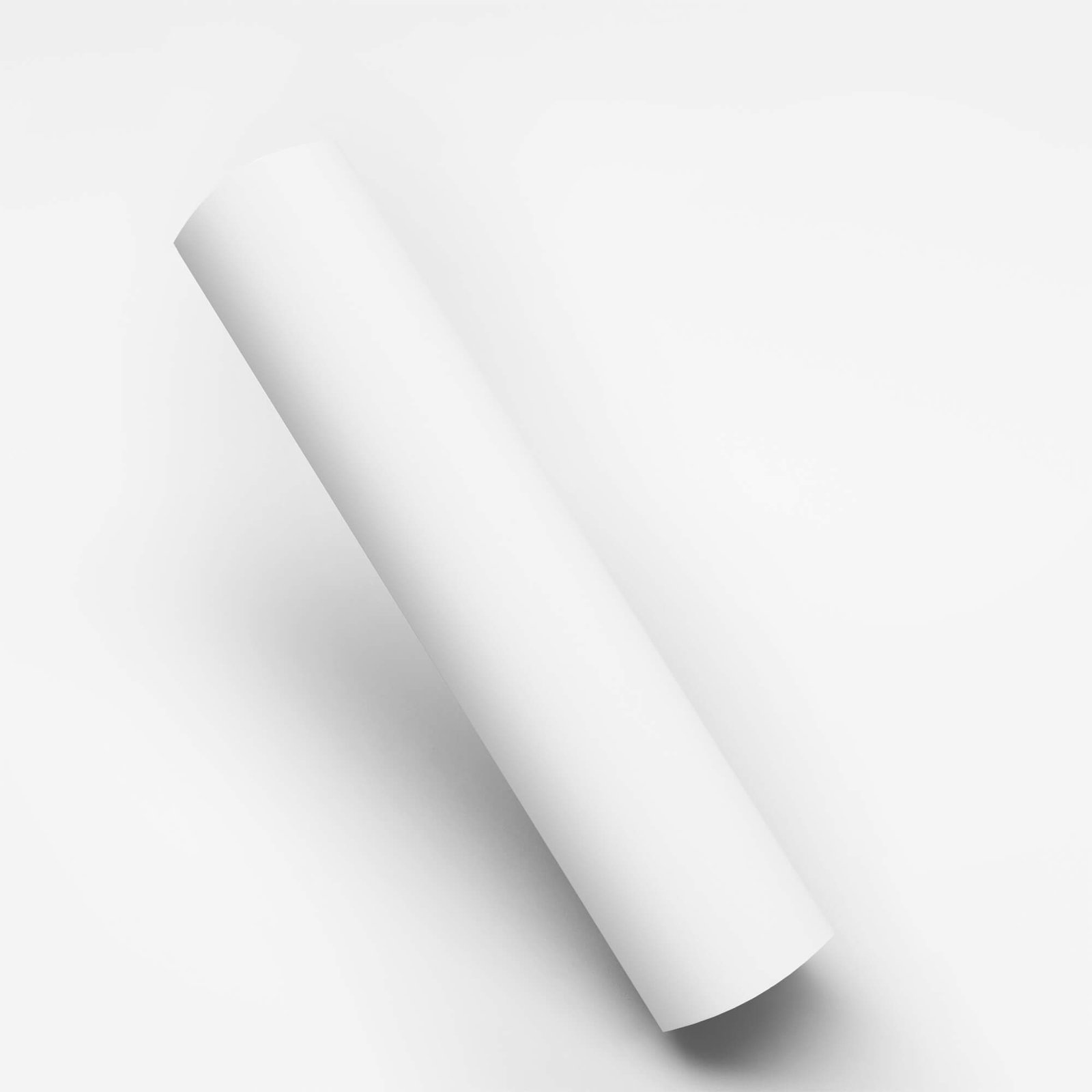 Blank Free Paper Roll Mockup PSD Template