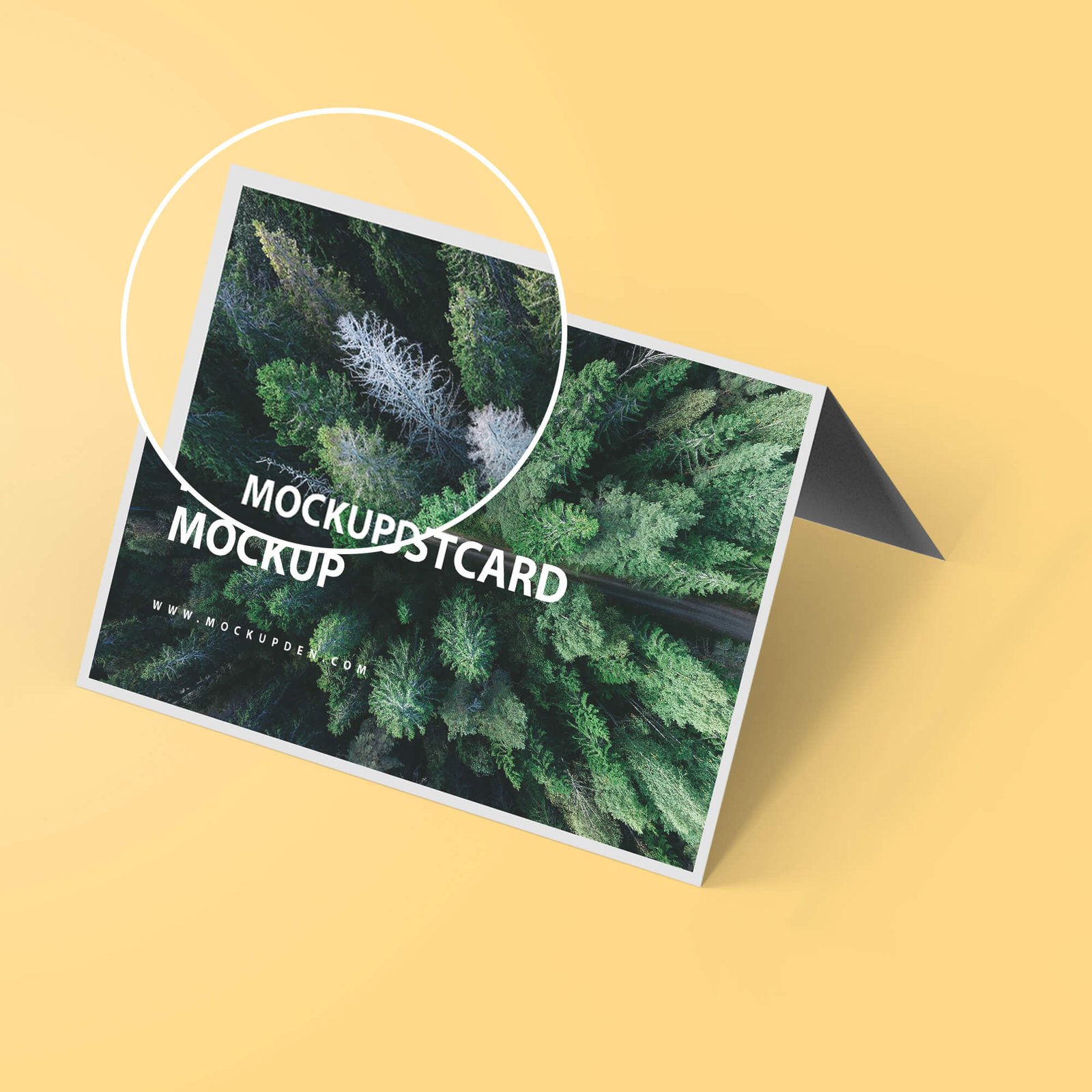 Close Up Of a Free Folded Postcard Mockup PSD Template