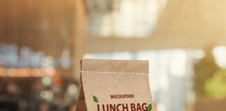 Free Lunch Bag Mockup PSD Template