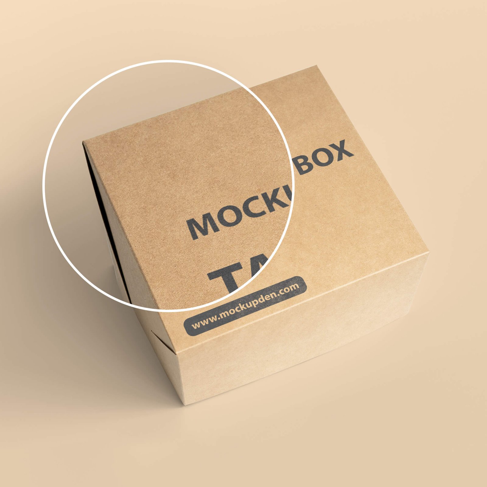 Close Up Of a Free Take Out Box Mockup PSD Template
