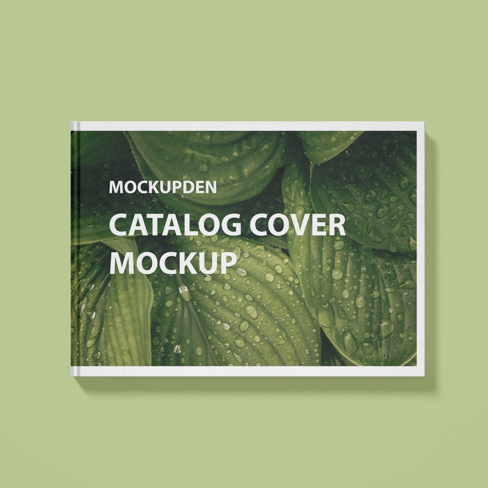 Design Free Catalog Cover Mockup PSD Template
