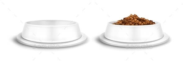 White Pet Bowls with Food for Dog or Cat