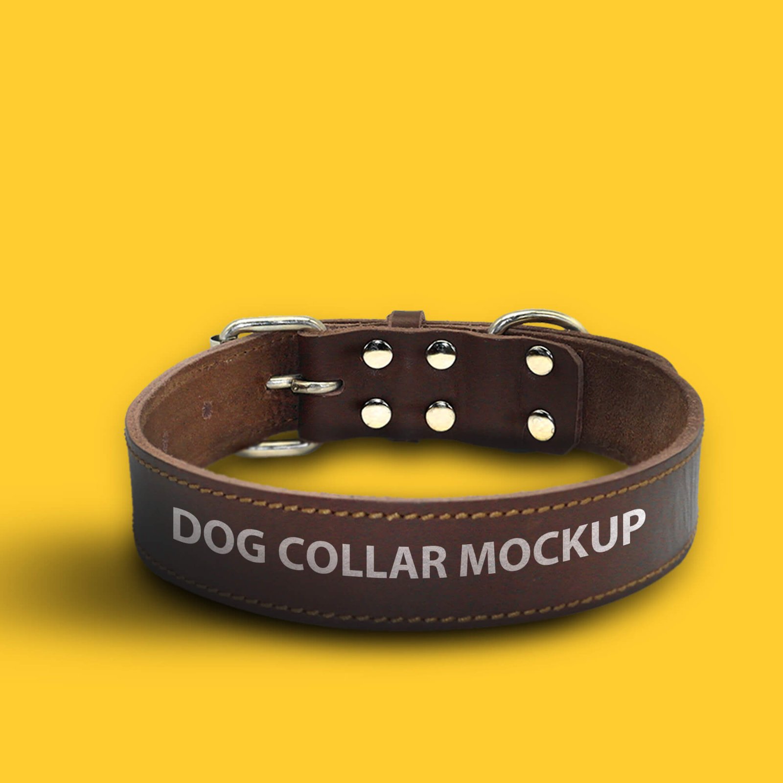 Design Free Dog Collar Mockup PSD Template