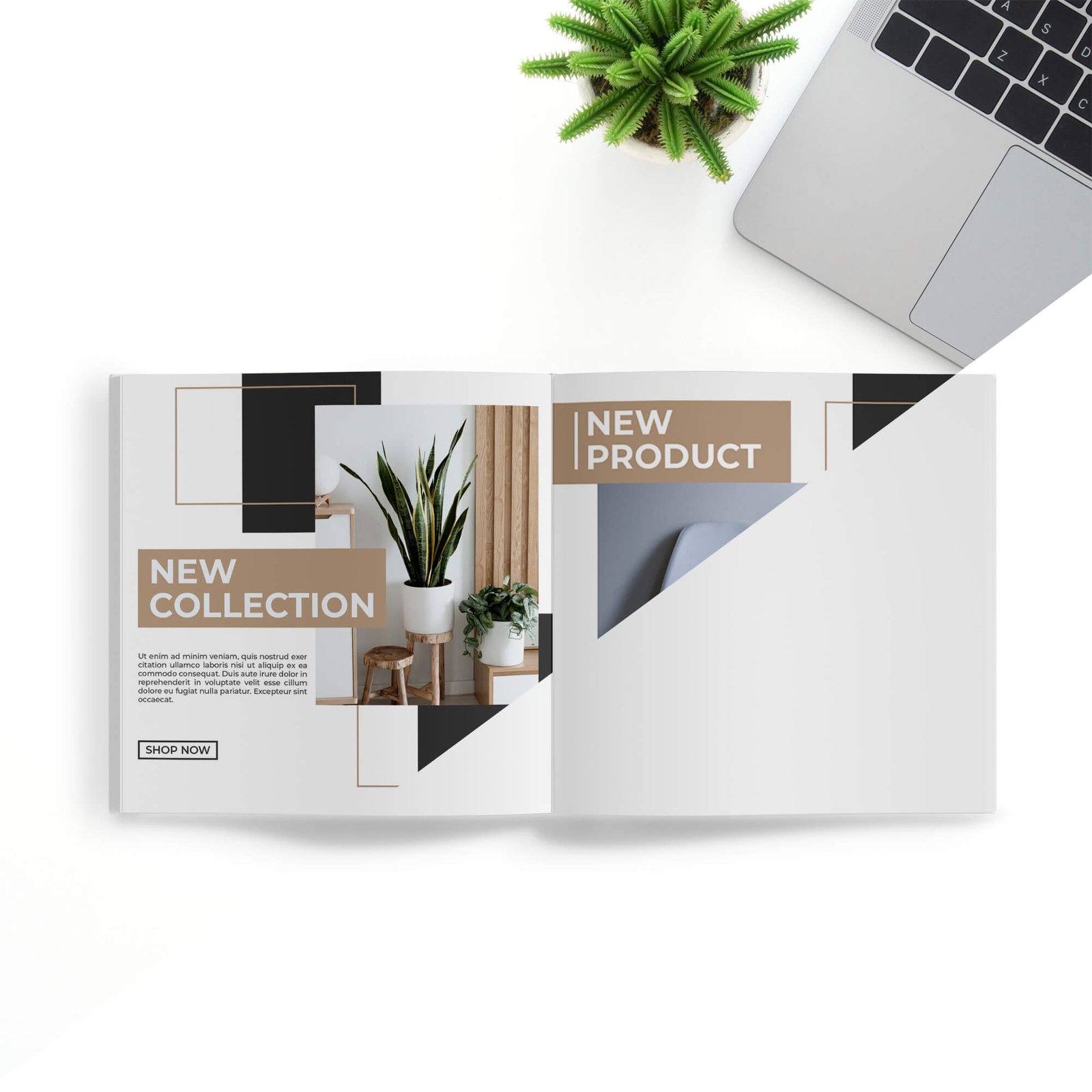 Editable Free Brand Book Mockup PSD Template