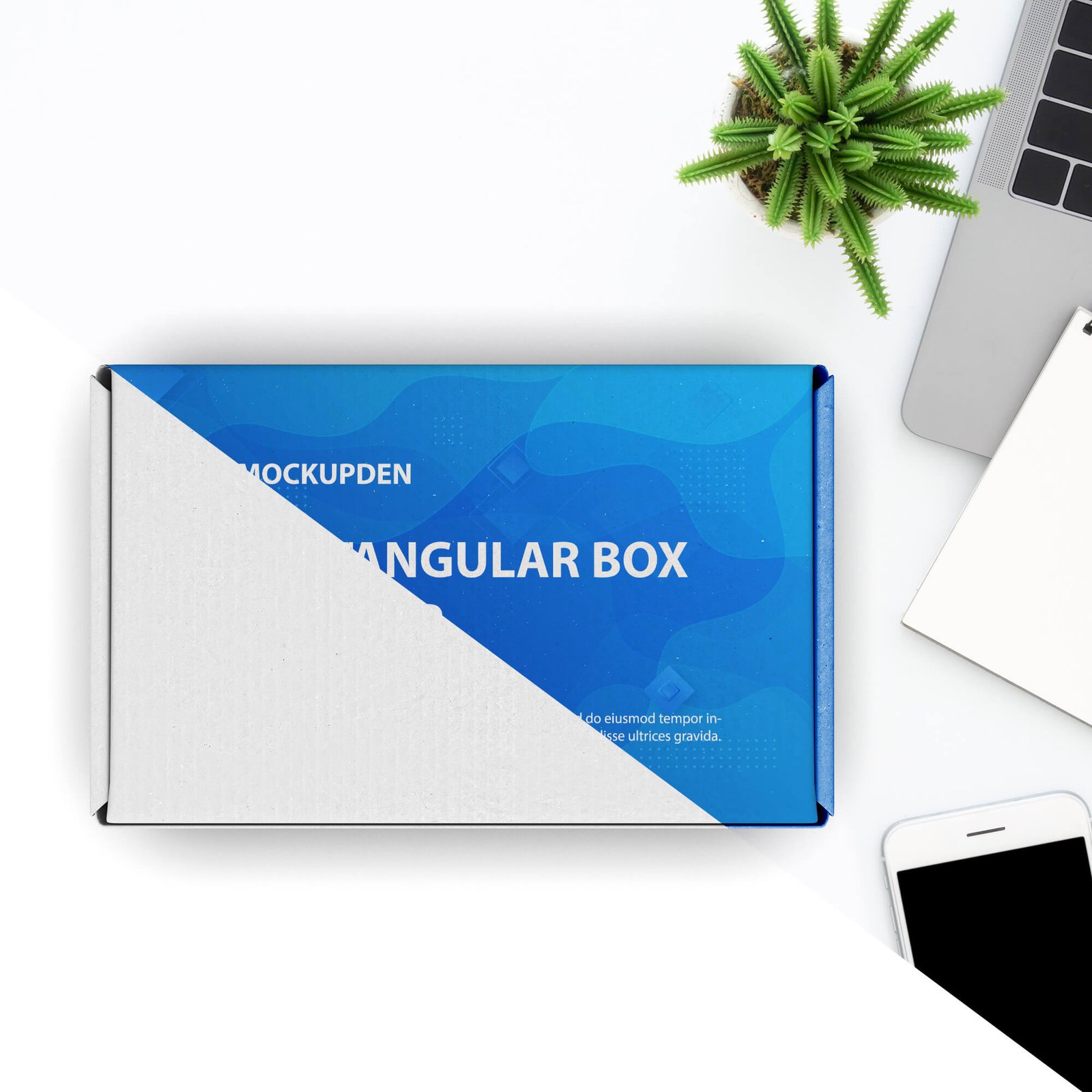 Editable Free Rectangular Box Mockup PSD Template