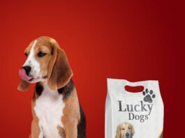 Free Dog Food Mockup PSD Template