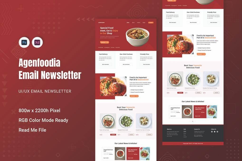 Agenfoodina Email Newsletter