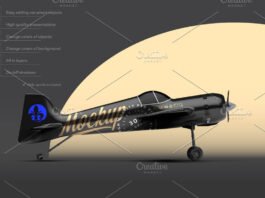 Black Aerobatic Aircraft Mockup