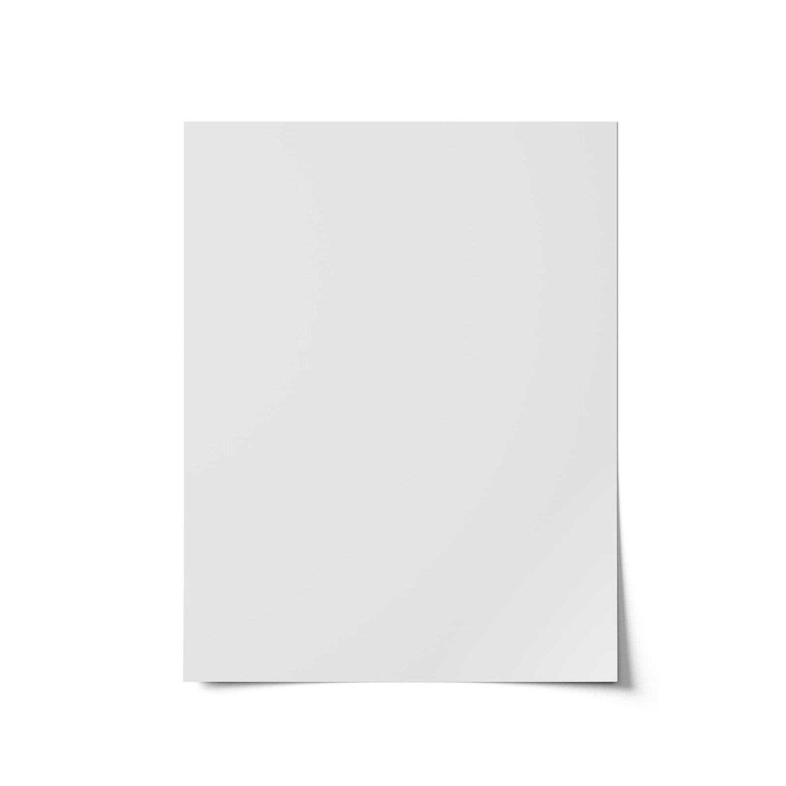 Blank Free Letter Paper Mockup PSD Template