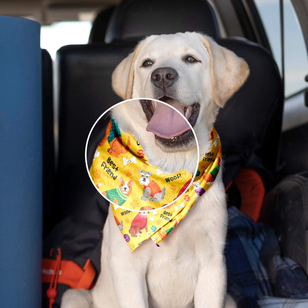 Free Dog Bandana Mockup PSD...